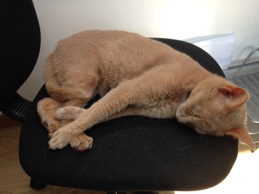 180326_115341-1701322