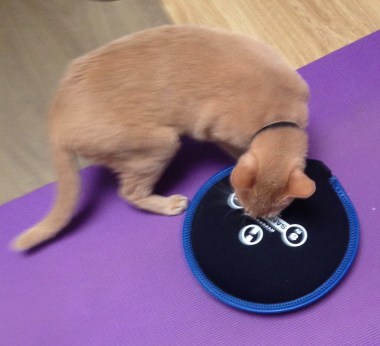 180428_095737-641444