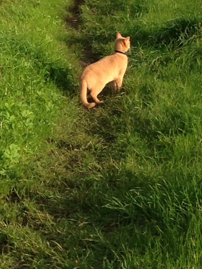 180501_185321-1502619