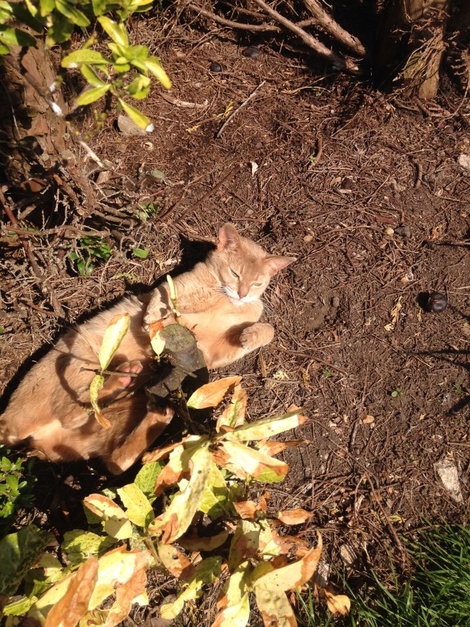 180513_152606-4325472