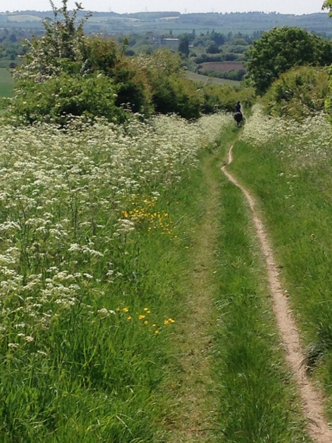 180520_134644-1862548