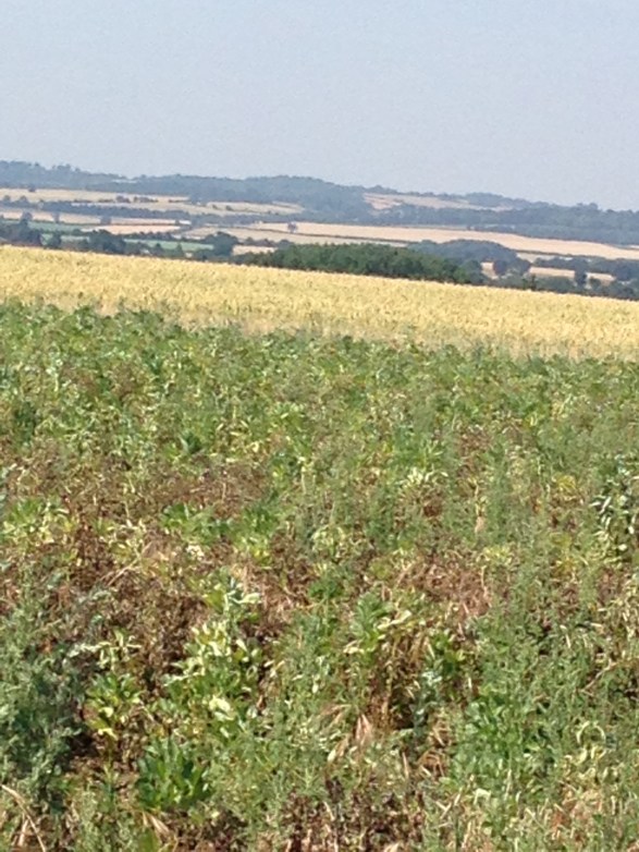 180707_105458-1601755