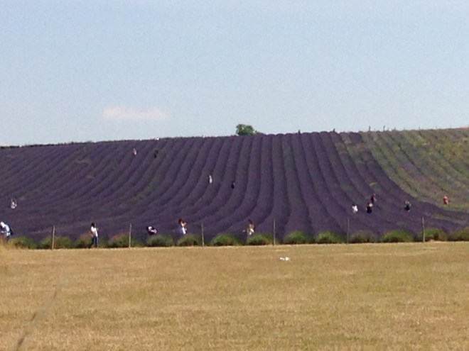 180707_110853-902240